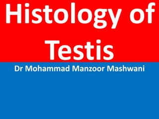 Histology of
TestisDr Mohammad Manzoor Mashwani
 