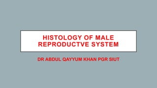 HISTOLOGY OF MALE
REPRODUCTVE SYSTEM
DR ABDUL QAYYUM KHAN PGR SIUT
 