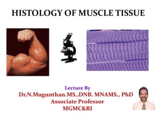 HISTOLOGY OF MUSCLE TISSUE
Lecture By
Dr.N.Mugunthan.MS.,DNB. MNAMS., PhD.,
Associate Professor
MGMC&RI
 