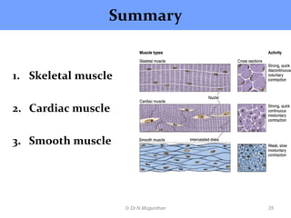 Mascular Tissues Notes.pdf Histology of muscle pdf lecture notes by Dr.N.Mugunthan | PDF