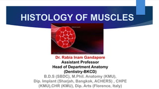 HISTOLOGY OF MUSCLES
Dr. Rabia Inam Gandapore
Assistant Professor
Head of Department Anatomy
(Dentistry-BKCD)
B.D.S (SBDC), M.Phil. Anatomy (KMU),
Dip. Implant (Sharjah, Bangkok, ACHERS) , CHPE
(KMU),CHR (KMU), Dip. Arts (Florence, Italy)
 