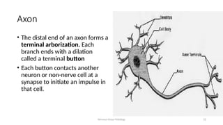 Histology of Nervous tissues presentation.pptx
