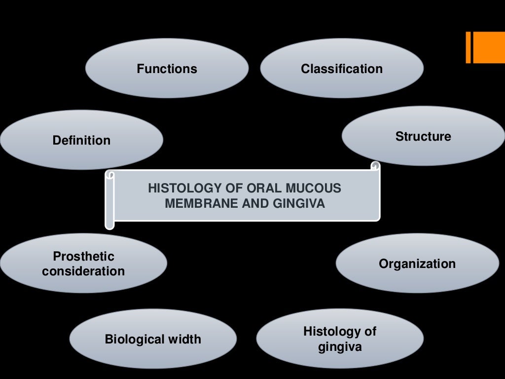 Histology of oral mucous membrane and gingiva