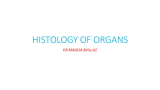 HISTOLOGY OF ORGANS
DR.MAGEJA,BVSc,UZ
 