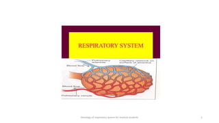 Histology of respiratory system for medical students 1
 