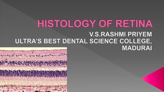 Histology of Retina