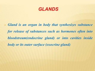 GLANDS
 Gland is an organ in body that synthesizes substance
for release of substances such as hormones often into
bloodstream(endocrine gland) or into cavities inside
body or its outer surface (exocrine gland)
 