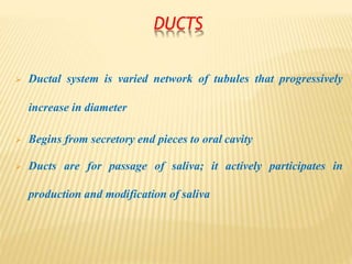 DUCTS
 Ductal system is varied network of tubules that progressively
increase in diameter
 Begins from secretory end pieces to oral cavity
 Ducts are for passage of saliva; it actively participates in
production and modification of saliva
 