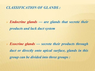 CLASSIFICATION OF GLANDS :
 Endocrine glands — are glands that secrete their
products and lack duct system
 Exocrine glands — secrete their products through
duct or directly onto apical surface, glands in this
group can be divided into three groups :
 