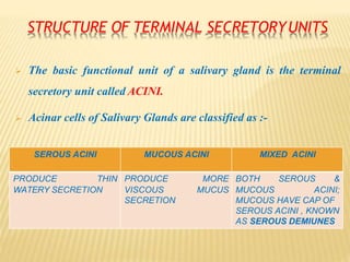 STRUCTURE OF TERMINAL SECRETORYUNITS
 The basic functional unit of a salivary gland is the terminal
secretory unit called ACINI.
 Acinar cells of Salivary Glands are classified as :-
SEROUS ACINI MUCOUS ACINI MIXED ACINI
PRODUCE THIN PRODUCE MORE BOTH SEROUS &
WATERY SECRETION VISCOUS MUCUS MUCOUS ACINI;
SECRETION MUCOUS HAVE CAP OF
SEROUS ACINI , KNOWN
AS SEROUS DEMIUNES
 