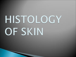 Histology of skin
