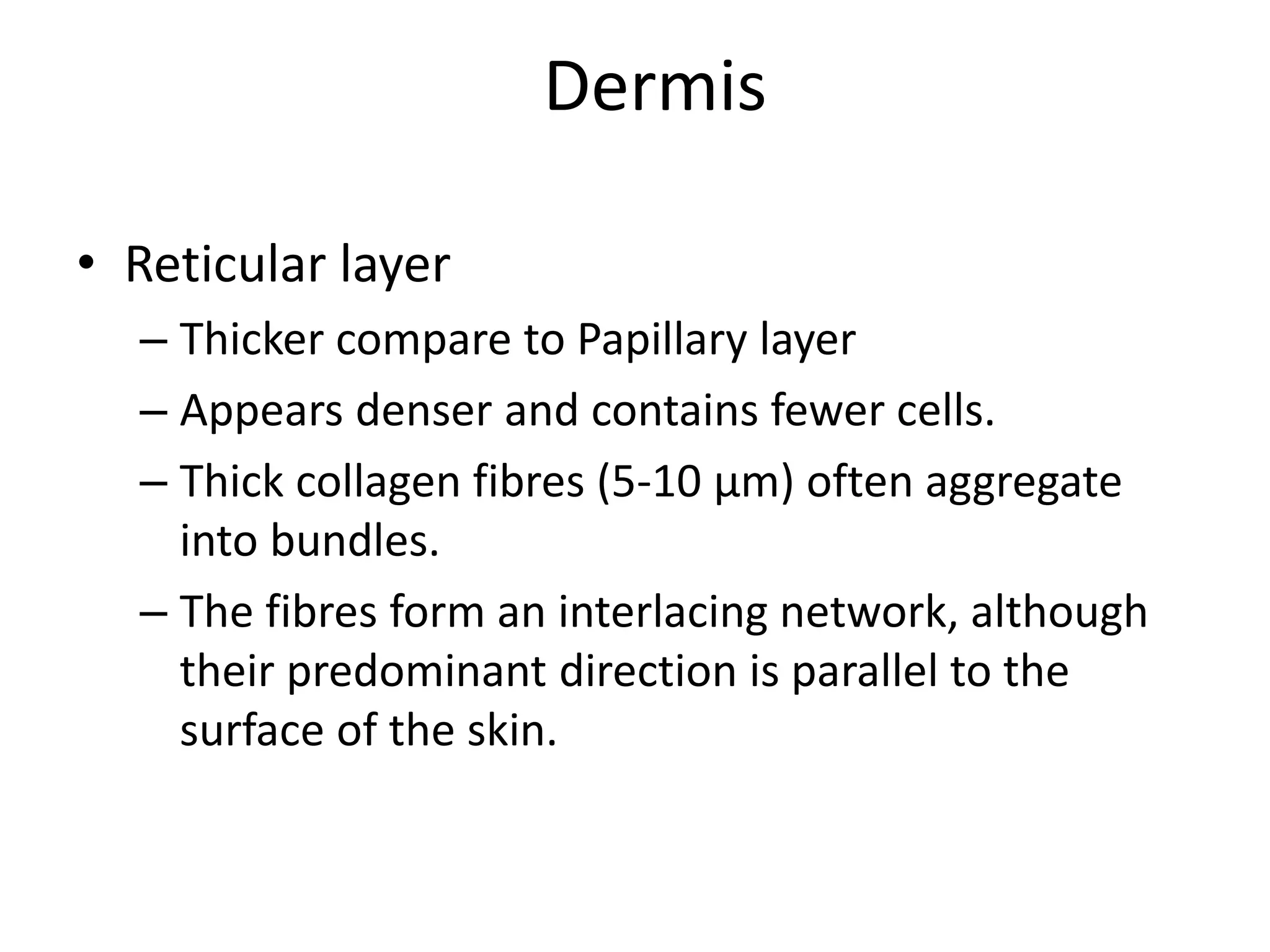 Skins Reticular Example Histology of skin | PDF