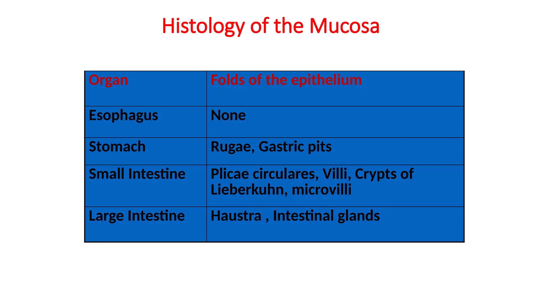 Histology of Small Intestine.pptx
