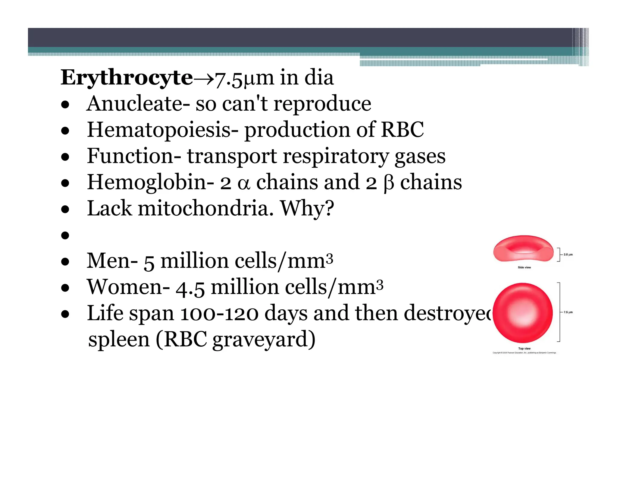 HISTOLOGY_OF_THE_CIRCULATORY_SYSTEM__e33581e3.pdf