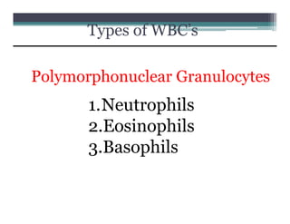 HISTOLOGY_OF_THE_CIRCULATORY_SYSTEM__e33581e3.pdf