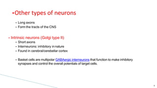 Histology of the CNS.pptx including neurons | PPTX