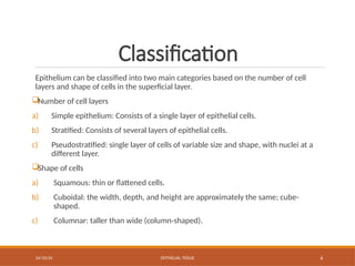 Epithelial Cells Classification Chart.pdf HISTOLOGY OF THE EPITHELIAL TISSUE AND FUNCTIONS | PPTX