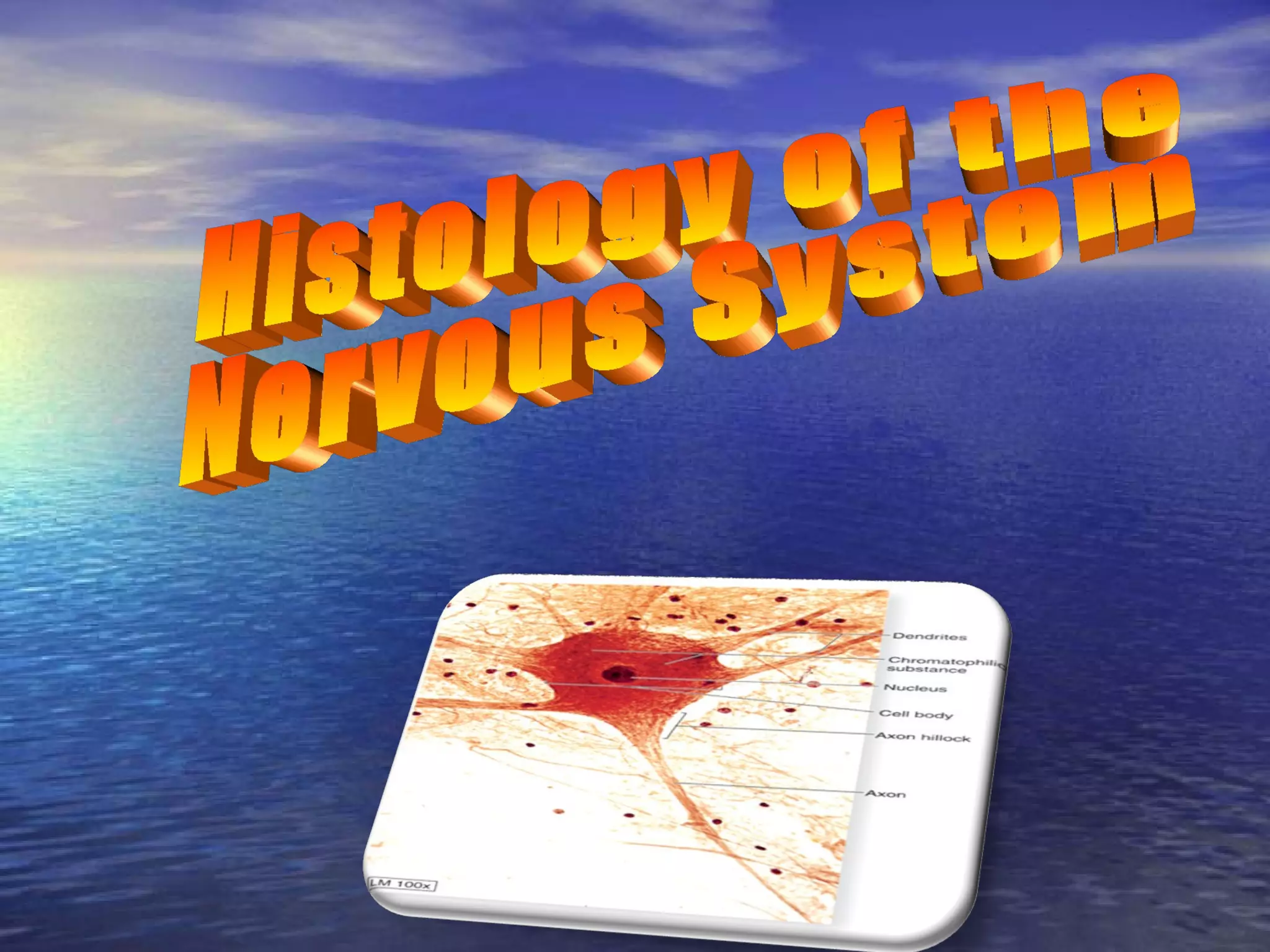 Histology of the nervous system | PPT