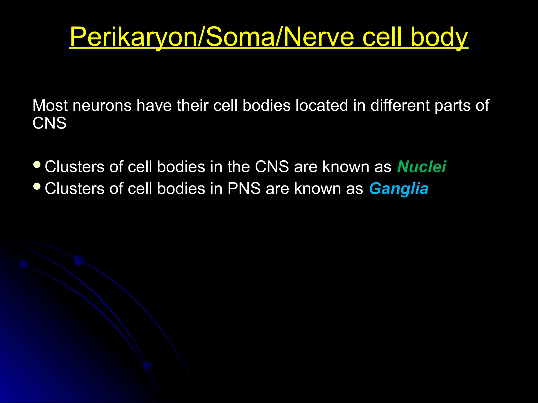 Perikaryon/Soma/Nerve cell body
Perikaryon/Soma/Nerve cell body
Most neurons have their cell bodies located in different parts of
Most neurons have their cell bodies located in different parts of
CNS
CNS
Clusters of cell bodies in the CNS are known as
Clusters of cell bodies in the CNS are known as Nuclei
Nuclei
Clusters of cell bodies in PNS are known as
Clusters of cell bodies in PNS are known as Ganglia
Ganglia
 