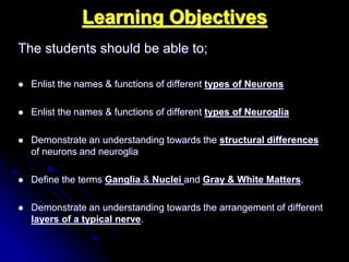 Histology of the nervous system | PPT