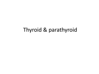 Thyroid & parathyroid
 