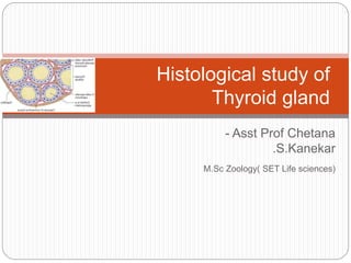 Histological study of 
Thyroid gland 
- Asst Prof Chetana 
.S.Kanekar 
M.Sc Zoology( SET Life sciences) 
 