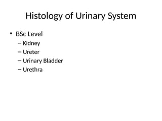 Level Bsc Histology_of_Urinary_System_BSc.pptxmmmm | PPTX