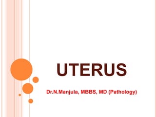 Dr.N.Manjula, MBBS, MD (Pathology)
UTERUS
 