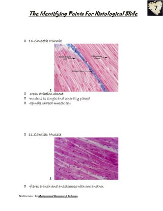 Skeletal Muscle Slide Identification