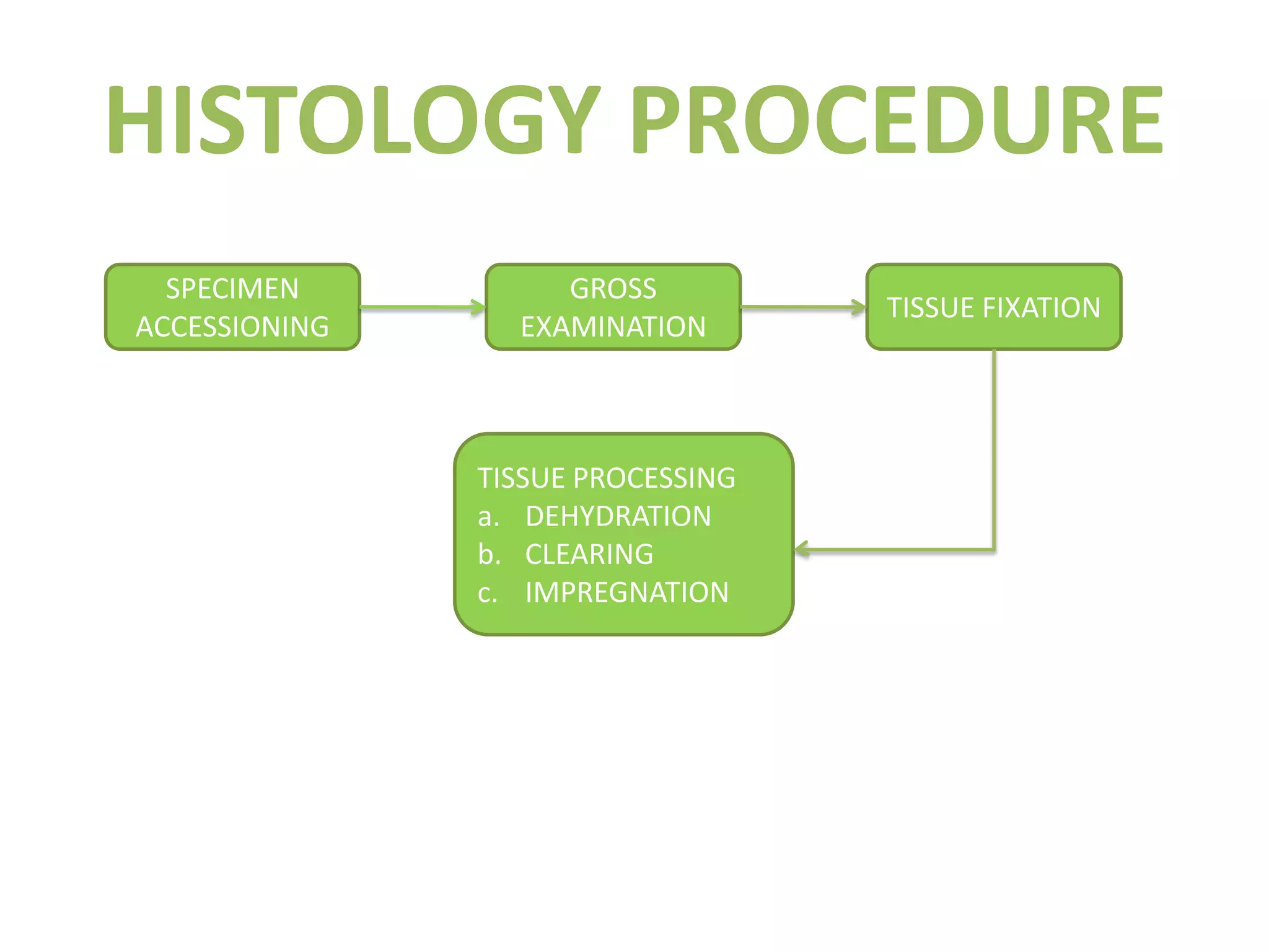 HISTOLOGY PROCEDURESPECIMEN ACCESSIONINGTISSUE FIXATIONGROSS EXAMINATIONTISSUE PROCESSINGDEHYDRATIONCLEARINGIMPREGNATION 