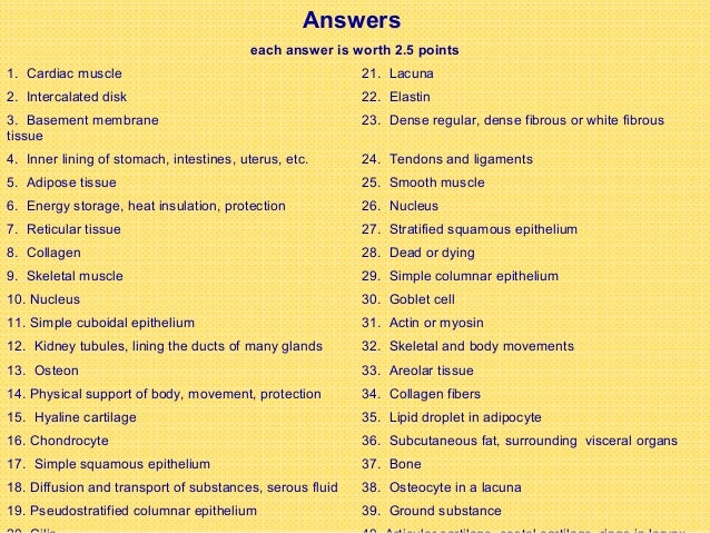 histology quiz