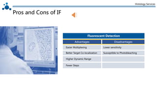 Histology Services
Fluorescent Detection
Advantages
Easier Multiplexing
Higher Dynamic Range
Better Target Co-localization
Disadvantages
Lower sensitivity
Susceptible to Photobleaching
Pros and Cons of IF
Fewer Steps
 