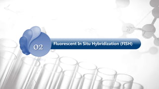 Histology Services
Fluorescent In Situ Hybridization (FISH)
02
 