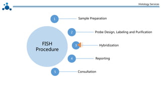 Histology Services
FISH
Procedure
1 Sample Preparation
2 Probe Design, Labeling and Purification
4 Reporting
5 Consultation
3 Hybridization
 
