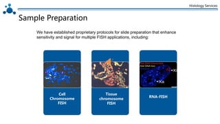Histology Services
Sample Preparation
We have established proprietary protocols for slide preparation that enhance
sensitivity and signal for multiple FISH applications, including:
Cell
Chromosome
FISH
Tissue
chromosome
FISH
RNA-FISH
 