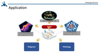Histology Services
Application
FISH
Diagnose Histology
 