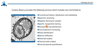 Histology Services
Conventional fixation, dehydration and embedding
Specimen sectioning
Negative Staining for samples
Specific nanoparticle staining
Nanoparticle size distributions
Immunoelectron microscopy
Phase identification
Electron diffraction
Elemental analysis
Chemical state analysis
Viral and particle quantification
Creative Bioarry provides the following services which includes, but not limited to:
 