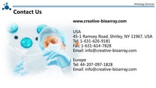Histology Services
Contact Us
USA
45-1 Ramsey Road, Shirley, NY 11967, USA
Tel: 1-631-626-9181
Fax: 1-631-614-7828
Email: info@creative-bioarray.com
Europe
Tel: 44-207-097-1828
Email: info@creative-bioarray.com
www.creative-bioarray.com
 