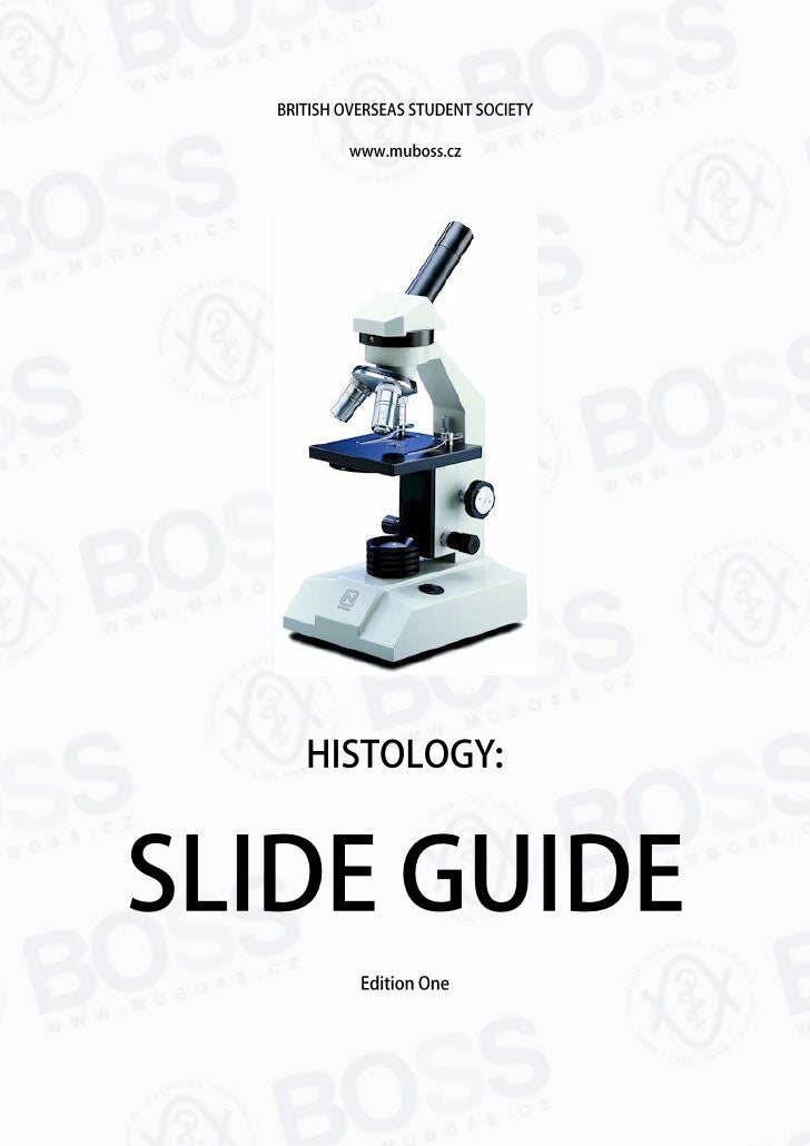 Histology Slide Guide