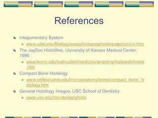 References
Integumentary System
 www.udel.edu/Biology/wags/histopage/colorpage/cin/cin.htm
The JayDoc HistoWeb, University of Kansas Medical Center,
1996
 www.kumc.edu/instruction/medicine/anaotmy/histoweb/index
.htm
Compact Bone Histology
 www.cellbio/utmb.edu/microanatomy/bone/compact_bone_hi
stology.htm
General Histology Images, USC School of Dentistry
 www.usc.edu/hsc/dental/ghisto
 