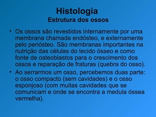 Histologia  Estrutura dos ossos Os ossos são revestidos internamente por uma membrana chamada endósteo, e externamente pelo periósteo. São membranas importantes na nutrição das células do tecido ósseo e como fonte de osteoblastos para o crescimento dos ossos e reparação de fraturas (quebra do osso). Ao serrarmos um osso, percebemos duas parte: o osso compacto (sem cavidades) e o osso esponjoso (com muitas cavidades que se comunicam e onde se encontra a medula óssea vermelha).  