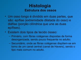 Histologia  Estrutura dos ossos Um osso longo é dividido em duas partes, que são: epífise (extremidade dilatada do osso) e diáfise (porção cilíndrica que une as duas epífises).  Existem dois tipos de tecido ósseo:  Primário, com fibras colágenas dispostas de forma desorganizada, sendo pouco frequente no adulto; Secundário, onde as fibras colágenas dispõem-se em torno de um canal central (canal de Havers), sendo o tipo mais comum no adulto. 