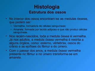 Histologia  Estrutura dos ossos No interior dos ossos encontram-se as medulas ósseas, que podem ser: Vermelha, formadora de células sanguíneas; Amarela, formada por tecido adiposo e que não produz células sanguíneas. Nos recém-nascidos, toda a medula óssea é vermelha. Já nos adultos, a medula óssea vermelha é restrita a alguns órgãos, como: esterno, vértebras, ossos do crânio e as epífises do fêmur e do úmero.  Com o passar dos anos, a medula óssea vermelha presente no fêmur e no úmero transforma-se em amarela.  