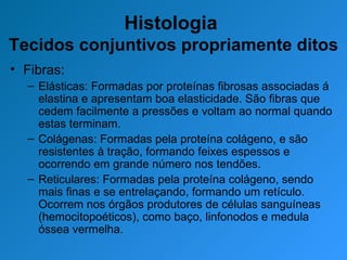 Histologia  Tecidos conjuntivos propriamente ditos Fibras: Elásticas: Formadas por proteínas fibrosas associadas á elastina e apresentam boa elasticidade. São fibras que cedem facilmente a pressões e voltam ao normal quando estas terminam.  Colágenas: Formadas pela proteína colágeno, e são resistentes à tração, formando feixes espessos e ocorrendo em grande número nos tendões. Reticulares: Formadas pela proteína colágeno, sendo mais finas e se entrelaçando, formando um retículo. Ocorrem nos órgãos produtores de células sanguíneas (hemocitopoéticos), como baço, linfonodos e medula óssea vermelha. 