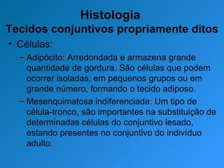 Histologia  Tecidos conjuntivos propriamente ditos Células: Adipócito: Arredondada e armazena grande quantidade de gordura. São células que podem ocorrer isoladas, em pequenos grupos ou em grande número, formando o tecido adiposo. Mesenquimatosa indiferenciada: Um tipo de célula-tronco, são importantes na substituição de determinadas células do conjuntivo lesado, estando presentes no conjuntivo do indivíduo adulto. 