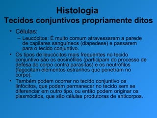 Histologia  Tecidos conjuntivos propriamente ditos Células: Leucócitos: É muito comum atravessarem a parede de capilares sanguíneos (diapedese) e passarem para o tecido conjuntivo. Os tipos de leucócitos mais frequentes no tecido conjuntivo são os eosinófilos (participam do processo de defesa do corpo contra parasitas) e os neutrófilos (fagocitam elementos estranhos que penetram no corpo). Também podem ocorrer no tecido conjuntivo os linfócitos, que podem permanecer no tecido sem se diferenciar em outro tipo, ou então podem originar os plasmócitos, que são células produtoras de anticorpos. 