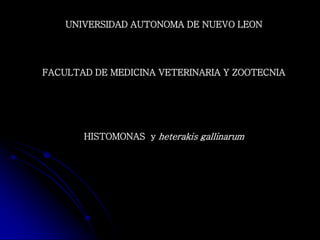 UNIVERSIDAD AUTONOMA DE NUEVO LEON




FACULTAD DE MEDICINA VETERINARIA Y ZOOTECNIA




       HISTOMONAS y heterakis gallinarum
 