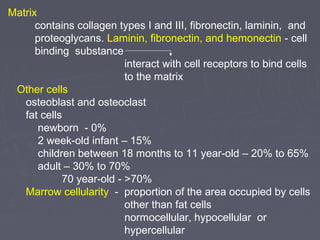 Matrix 
contains collagen types I and III, fibronectin, laminin, and 
proteoglycans. Laminin, fibronectin, and hemonectin - cell 
binding substance 
interact with cell receptors to bind cells 
to the matrix 
Other cells 
osteoblast and osteoclast 
fat cells 
newborn - 0% 
2 week-old infant – 15% 
children between 18 months to 11 year-old – 20% to 65% 
adult – 30% to 70% 
70 year-old - >70% 
Marrow cellularity - proportion of the area occupied by cells 
other than fat cells 
normocellular, hypocellular or 
hypercellular 
 