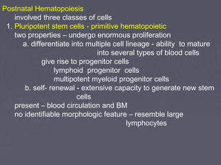 Postnatal Hematopoiesis 
involved three classes of cells 
1. Pluripotent stem cells - primitive hematopoietic 
two properties – undergo enormous proliferation 
a. differentiate into multiple cell lineage - ability to mature 
into several types of blood cells 
give rise to progenitor cells 
lymphoid progenitor cells 
multipotent myeloid progenitor cells 
b. self- renewal - extensive capacity to generate new stem 
cells 
present – blood circulation and BM 
no identifiable morphologic feature – resemble large 
lymphocytes 
 