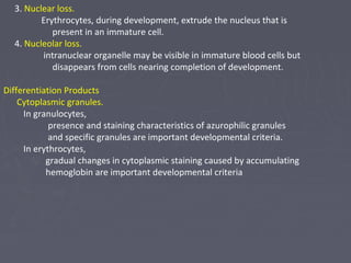 3. Nuclear loss. 
Erythrocytes, during development, extrude the nucleus that is 
present in an immature cell. 
4. Nucleolar loss. 
intranuclear organelle may be visible in immature blood cells but 
disappears from cells nearing completion of development. 
Differentiation Products 
Cytoplasmic granules. 
In granulocytes, 
presence and staining characteristics of azurophilic granules 
and specific granules are important developmental criteria. 
In erythrocytes, 
gradual changes in cytoplasmic staining caused by accumulating 
hemoglobin are important developmental criteria 
 